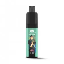 Hayati Pro Max Plus 6K Puffs Souvenir Edition Scotland Vape Kit