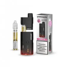 Vapengin Martain X Lite 30K Puffs Rechargeable Vape Kit