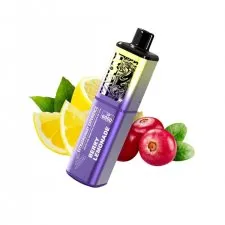 Vaplay VP6000 Puffs Rechargeable Prefilled Vape Kit