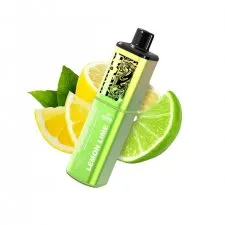 Vaplay VP6000 Puffs Rechargeable Prefilled Vape Kit