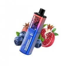 Vaplay VP6000 Puffs Rechargeable Prefilled Vape Kit
