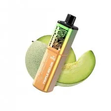 Vaplay VP6000 Puffs Rechargeable Prefilled Vape Kit