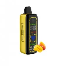 VNSN Spark Pro 30000 Puffs Prefilled Vape Kit